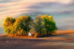 the autumn chapel 