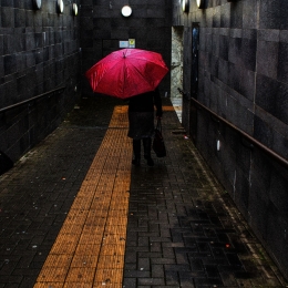 Red Umbrella 