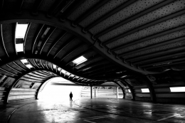 Almost empty fish market 