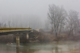 Fog stories (3) 