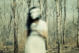 Her Ghost in The Woods 