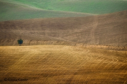 I colori e le curve dell'entroterra siculo... 