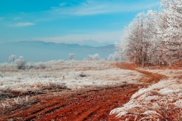 Country road 