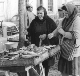 Alentejo 1975 