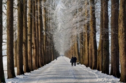 Evenburg Allee in Winter 