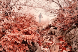 Red tunnel 