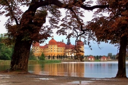 Moritzburg Castle (Dresden) 