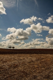 Alentejo 