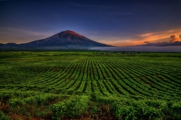 Kerinci Mountain 