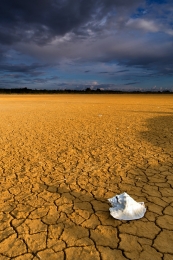 The Salton Sea 