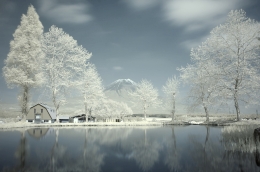 At the foot of Mount Fuji 