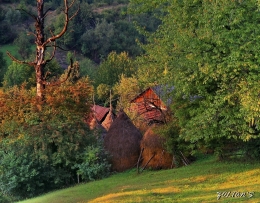 Wallachian farm in Dalja 