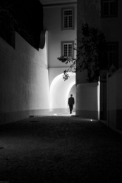 WALKING INSIDE THE LIGHT ARCH  