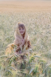 Ears of wheat 