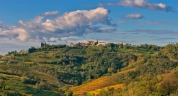 Goriška Brda-Slovenia 