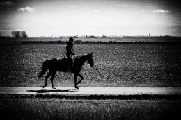 Horseback riding 