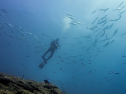 Dança no Azul 