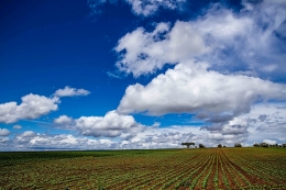 Alentejo 