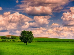 Grumbling Clouds 