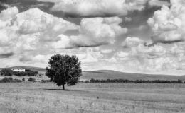 Grumbling Clouds BW version 