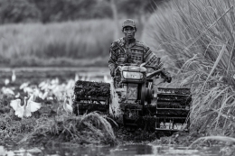 the farmer 