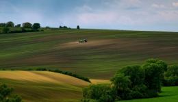 farmer 