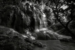 Water Fall in Love 