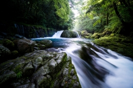 Kikuchi Gorge 