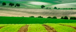 moravia fields 