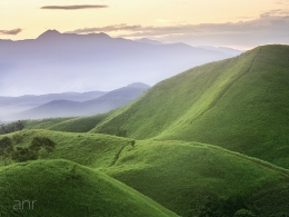 bukit telang 