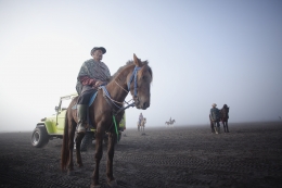  Horse rider 