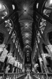 Cathédrale Notre-Dame De Paris 