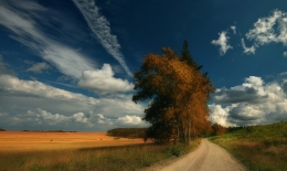 The Late Summer Sky 