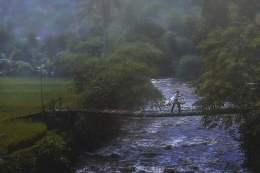 Jembatan bambu  