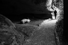 Serra de Sintra 