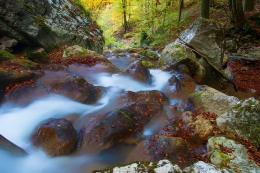 Autumn mountain river 