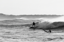 BALEAL WAVES RIDERS  