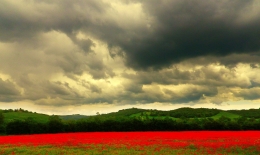 Colors in the Storm 