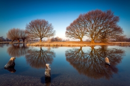 natural mirrors 