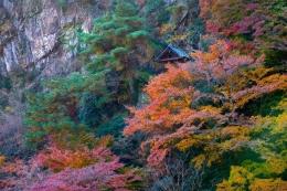 Hermitage in late fall colors 