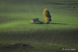 Il mio solito posto... 