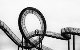 tiger and turtle 