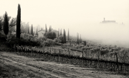 Flying in the Fog 