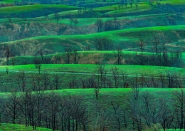 Green curtain in Kumamoto,Japan 