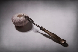 Fork and a sea urchin 