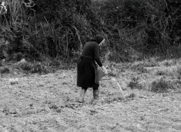 A SENHORA DO REGADOR 