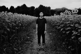 Young man in the sunflower field 