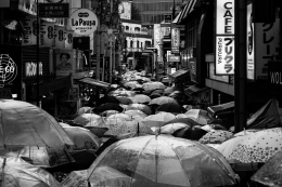 Harajuku, Tokyo, Japan, 2017 