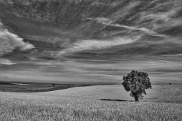 Alentejo 