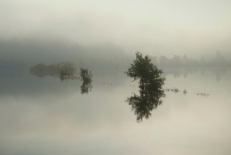  Flooded field 